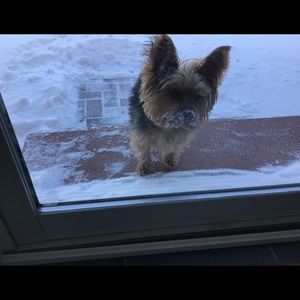 Meet your Posher, Beverly